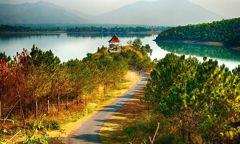 Thông và đường thông Biển Hồ trà kêu cứu